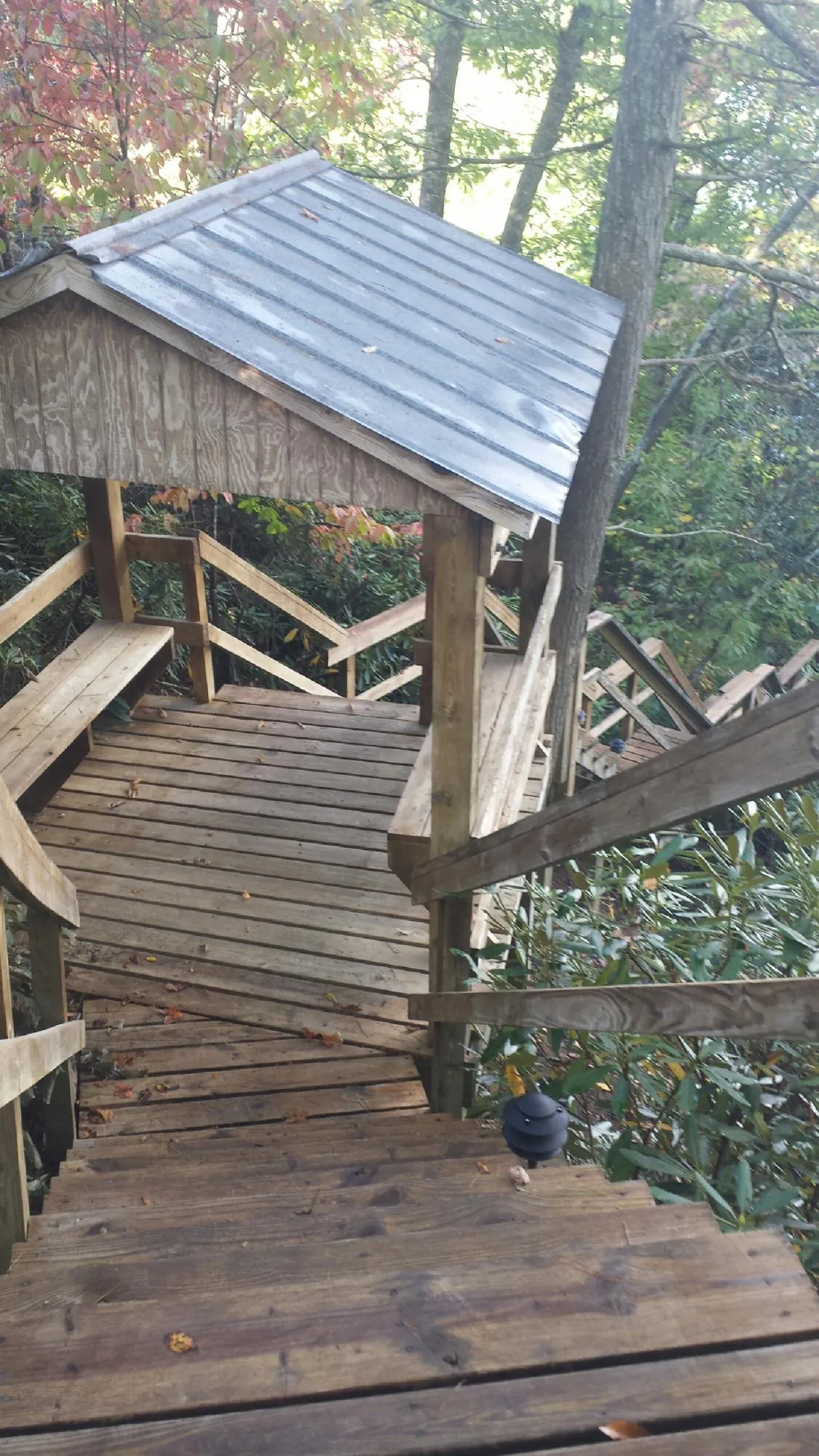 Metal roofed shelter over wooden steps on a wooded walkway — Skylight Repair & Installation work by our crew in Plant City
